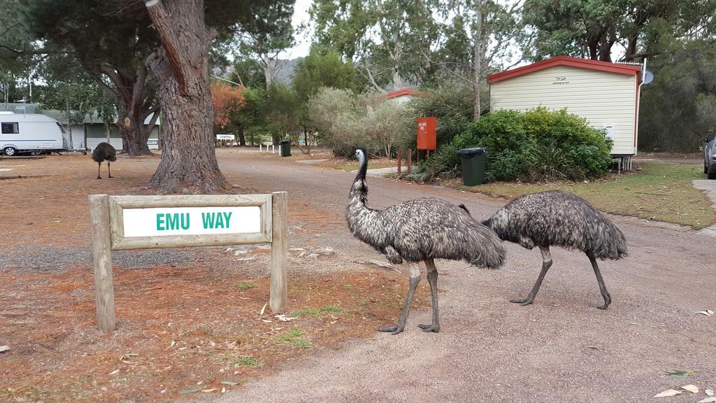 Breeze Holiday Parks - Grampians ฮอลส์แกป ภายนอก รูปภาพ